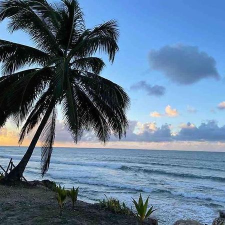 My Dream Beach House Aguada Eksteriør bilde