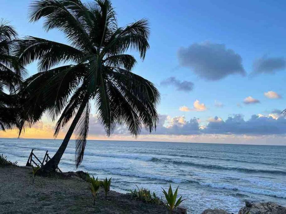 My Dream Beach House Aguada Eksteriør bilde