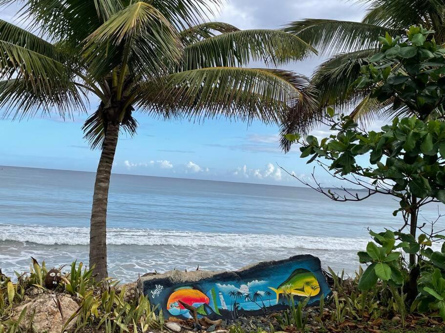 My Dream Beach House Aguada Eksteriør bilde
