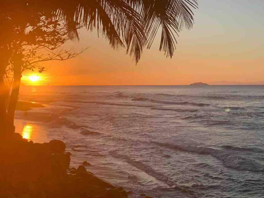 My Dream Beach House Aguada Eksteriør bilde